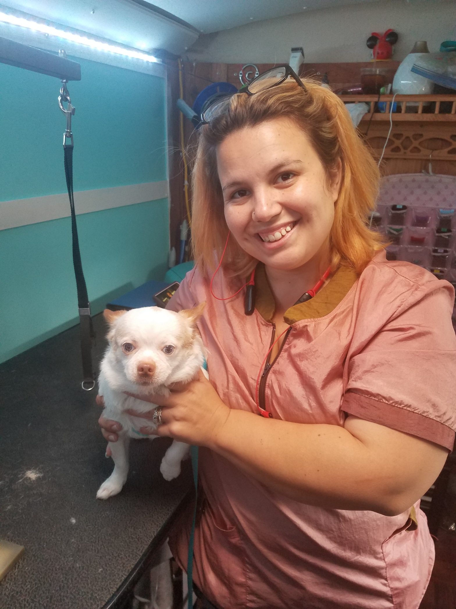 Mobile Grooming FluffIt Mobile Grooming